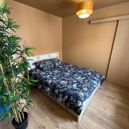 Apartamento L'Ile De Bali, Sejour En Couple Ou Famille Roanne Exterior foto