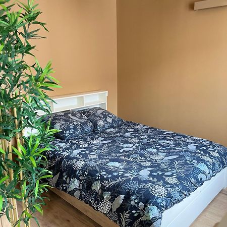 Apartamento L'Ile De Bali, Sejour En Couple Ou Famille Roanne Exterior foto
