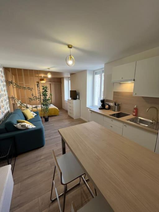 Apartamento L'Ile De Bali, Sejour En Couple Ou Famille Roanne Exterior foto