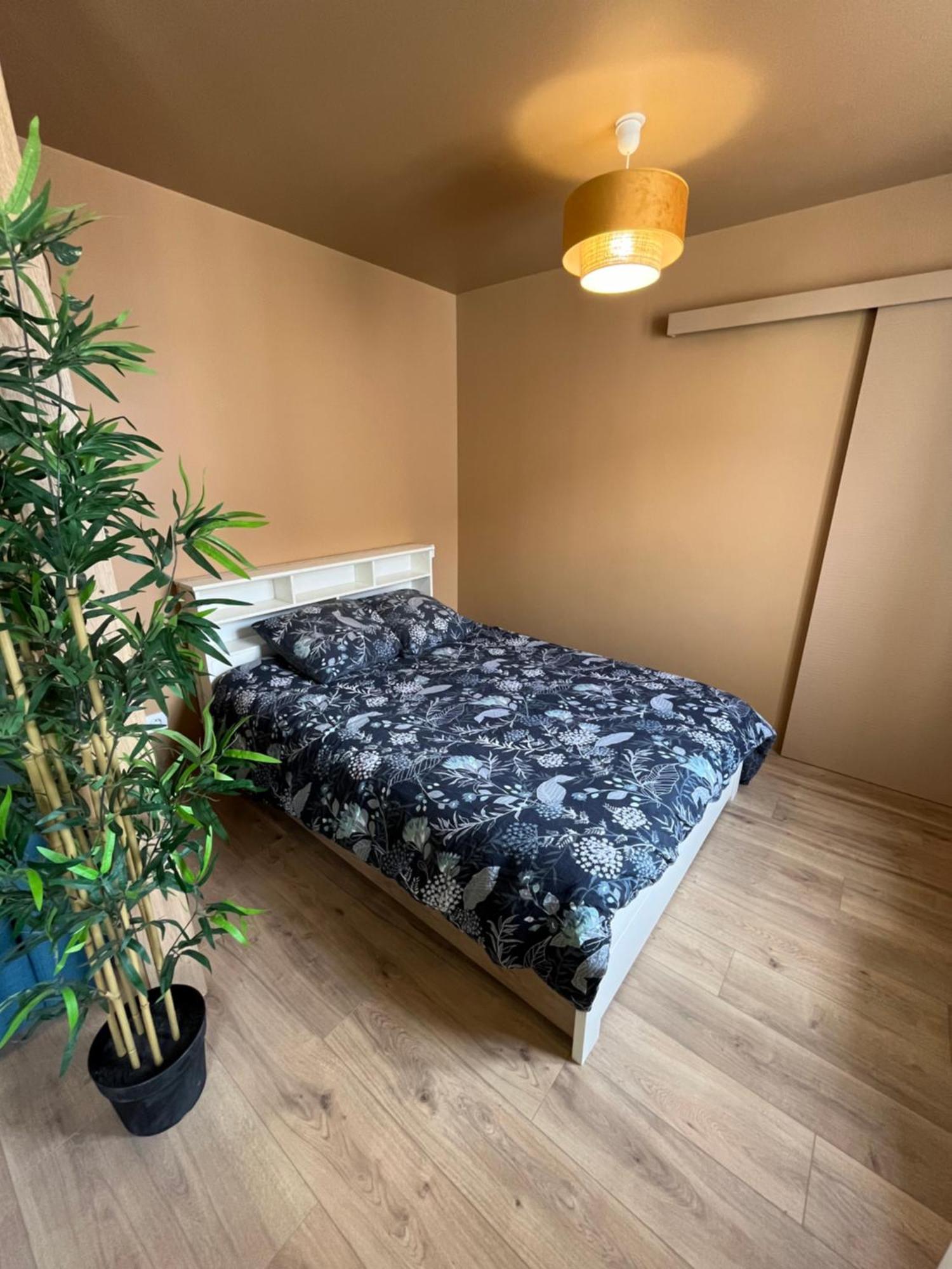 Apartamento L'Ile De Bali, Sejour En Couple Ou Famille Roanne Exterior foto