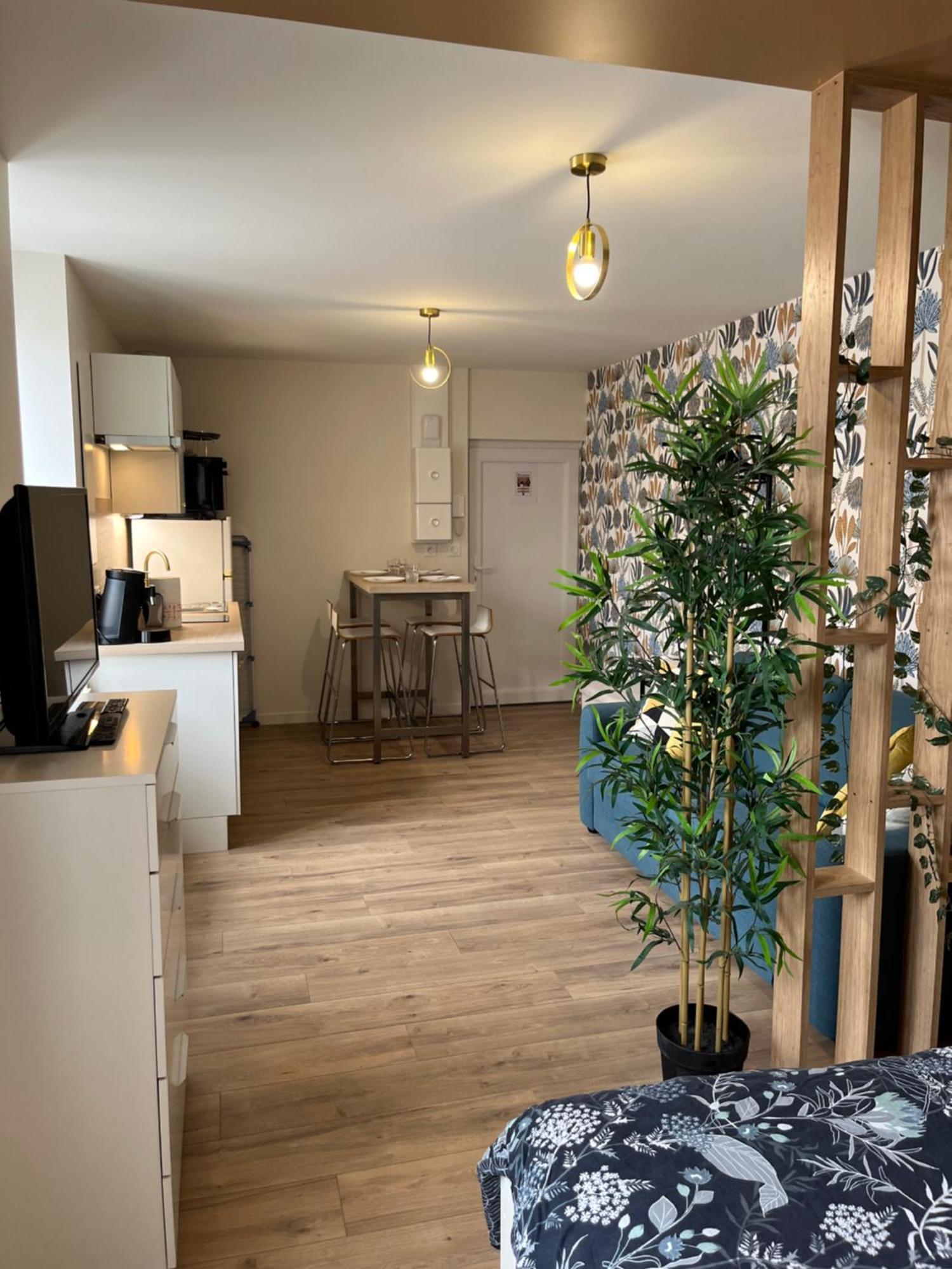 Apartamento L'Ile De Bali, Sejour En Couple Ou Famille Roanne Exterior foto
